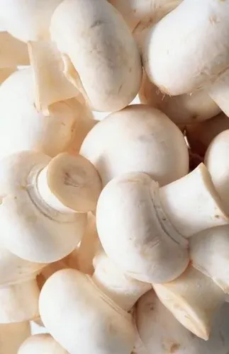Champiñon