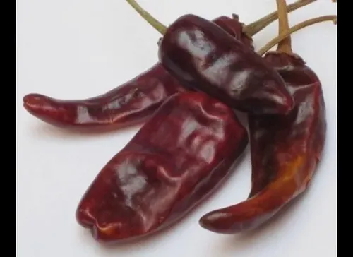 Chile costeño