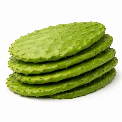 Nopal