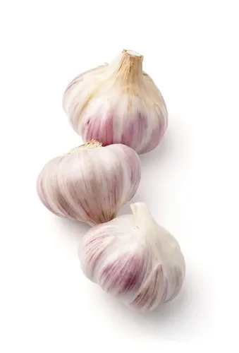 Ajo
