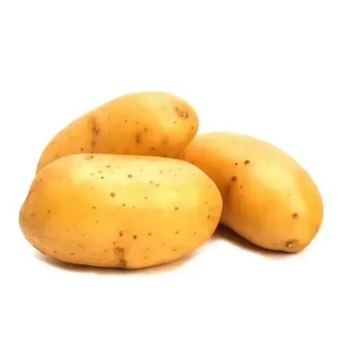 Papa blanca