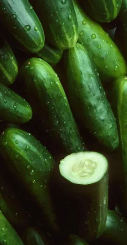 Pepino