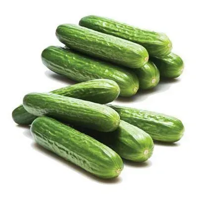 Pepino Persa