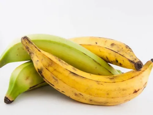 Plátano macho