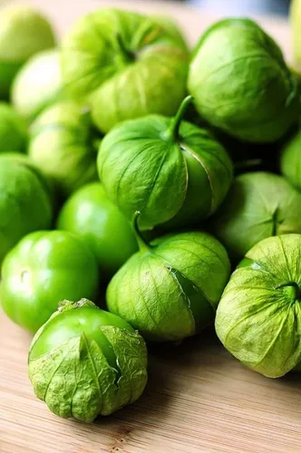 Tomate Verde